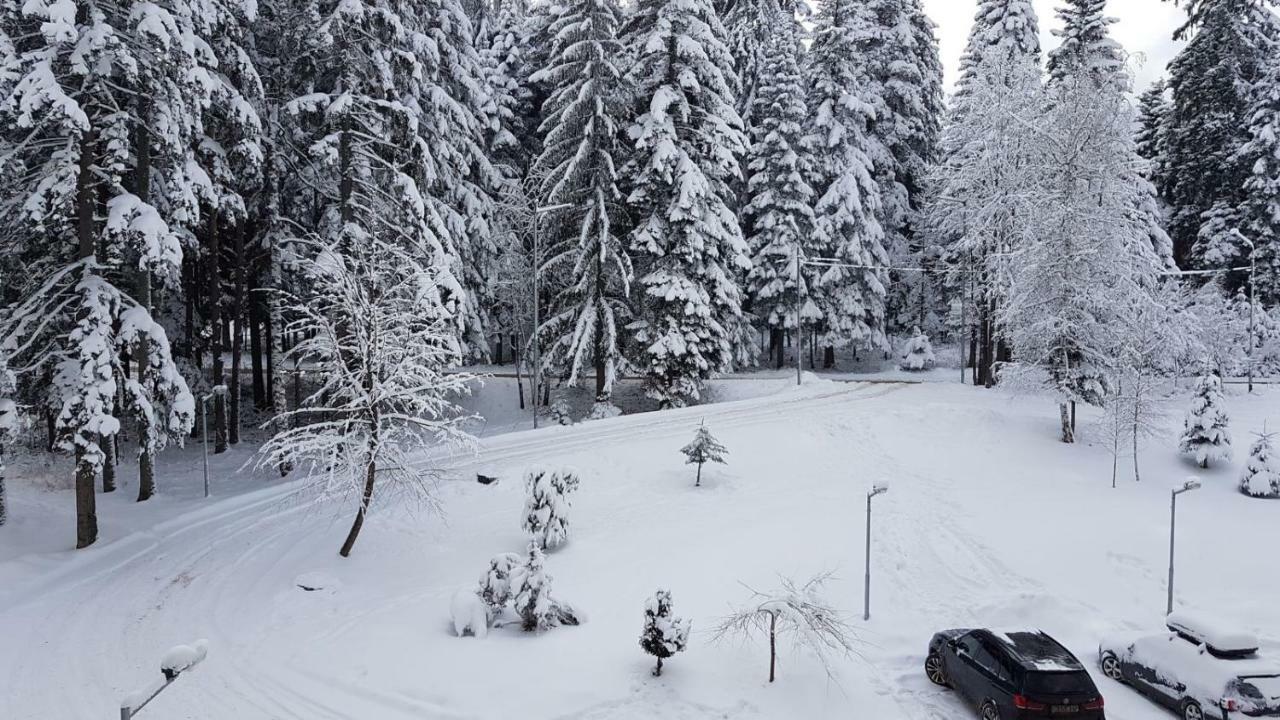 Apartament Borovest Garden. Borowec Zewnętrze zdjęcie